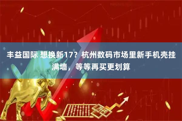 丰益国际 想换新17？杭州数码市场里新手机壳挂满墙，等等再买更划算