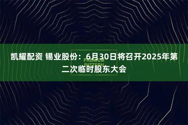 凯耀配资 锡业股份：6月30日将召开2025年第二次临时股东大会