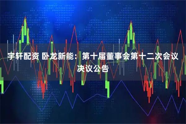 宇轩配资 卧龙新能：第十届董事会第十二次会议决议公告