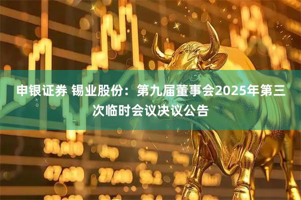 申银证券 锡业股份：第九届董事会2025年第三次临时会议决议公告