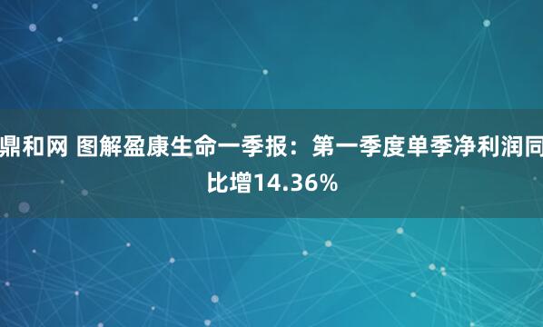 鼎和网 图解盈康生命一季报：第一季度单季净利润同比增14.36%