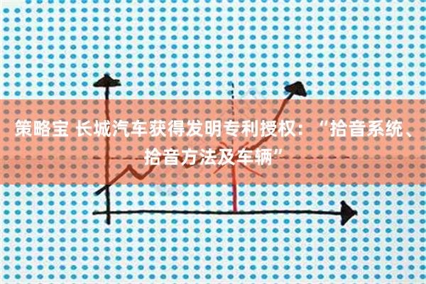 策略宝 长城汽车获得发明专利授权：“拾音系统、拾音方法及车辆”